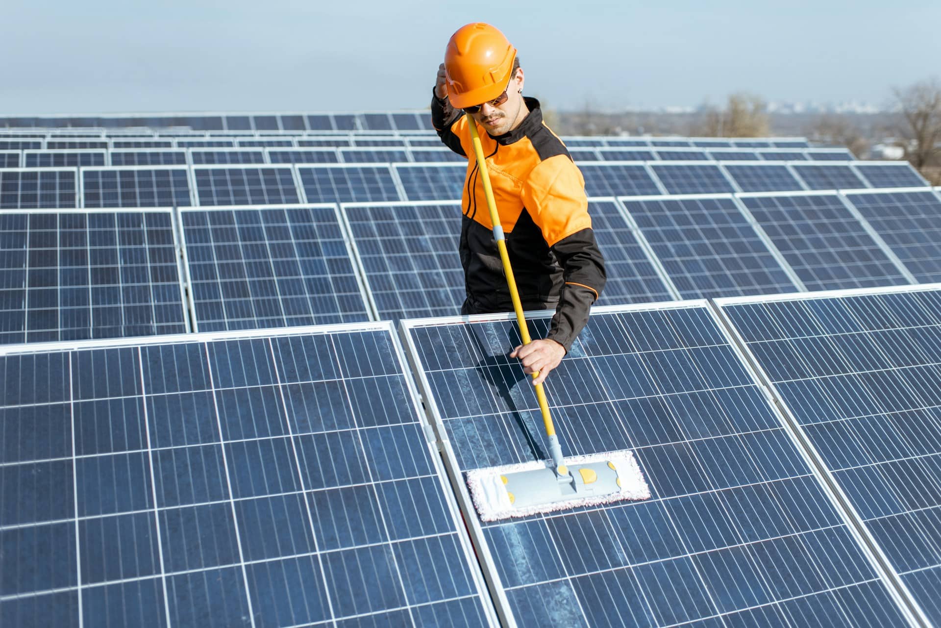 solar panel cleaning services