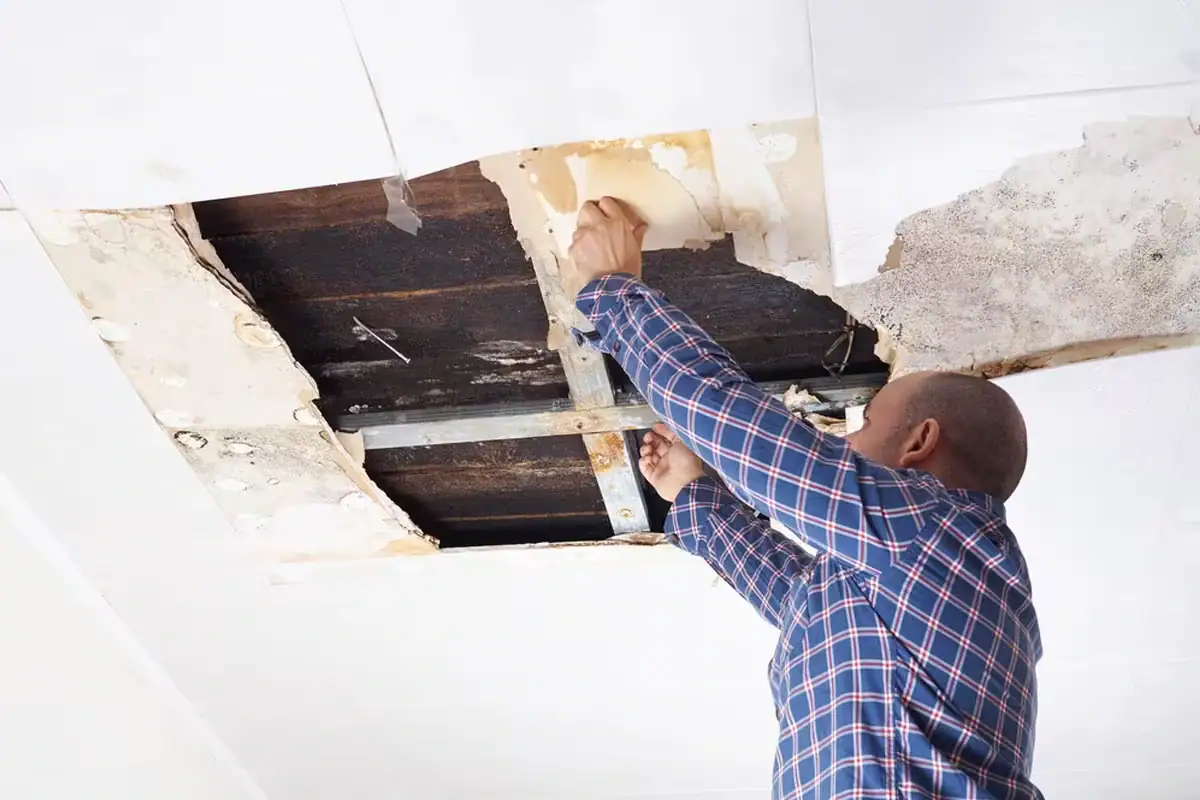 Ceiling Leak Repair