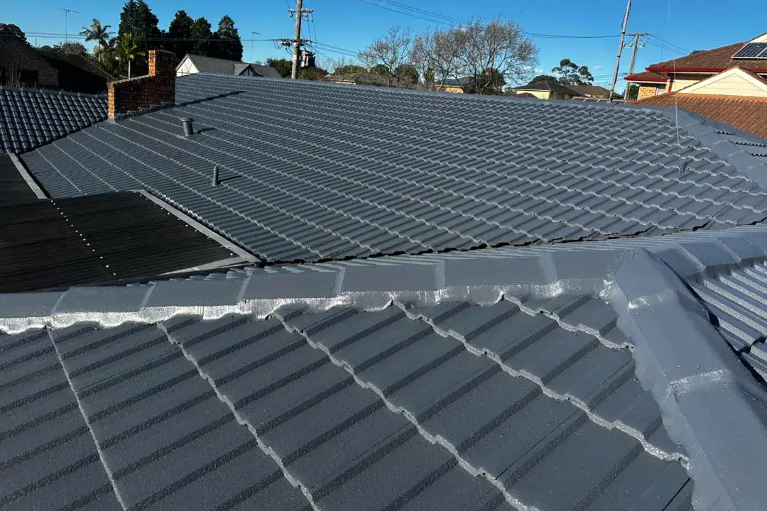 Roof Restoration Wentworthville
