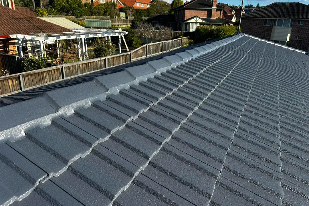Roof Restoration Bella Vista